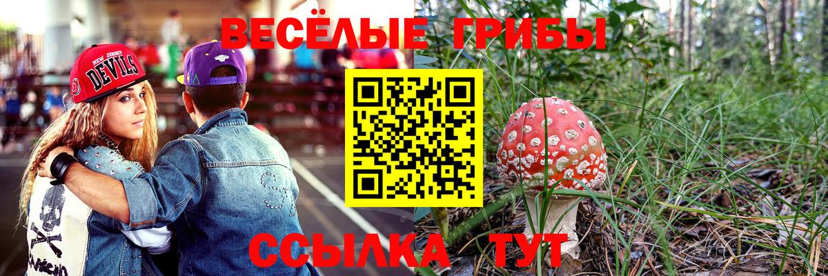 Богородицк  Псилоцибиновые грибы мухоморы  Вход с VPN 